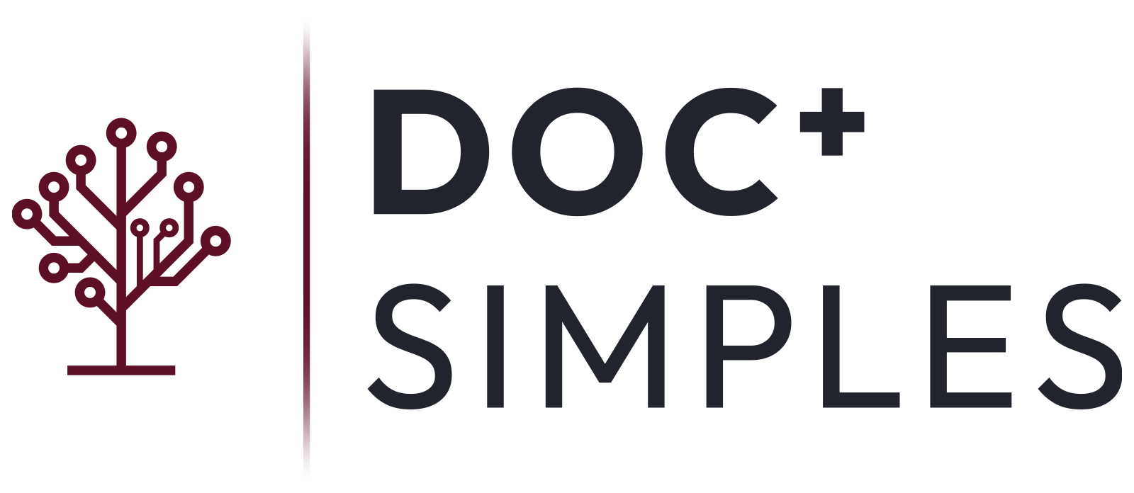 doc-simples-2